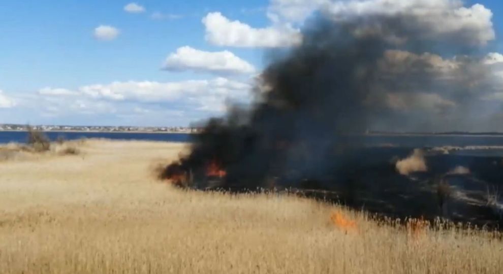 На Херсонщині з початку року вигоріло більше 20 га дніпровських плавнів