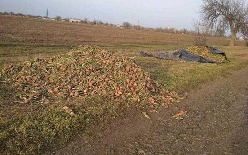 На Херсонщині фермери масово викидають урожай