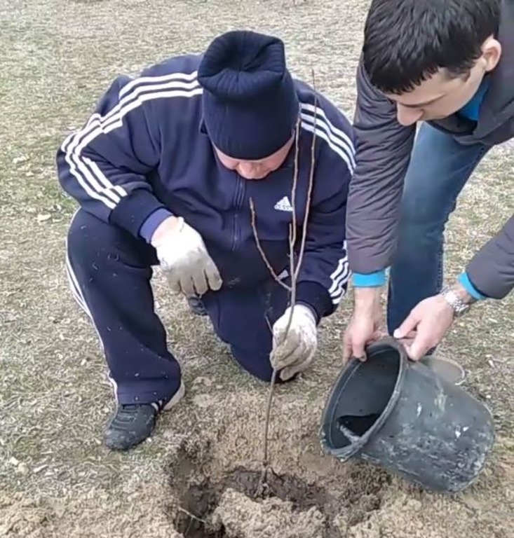 В херсонском гидропарке высадили деревья с применением уникальной технологии