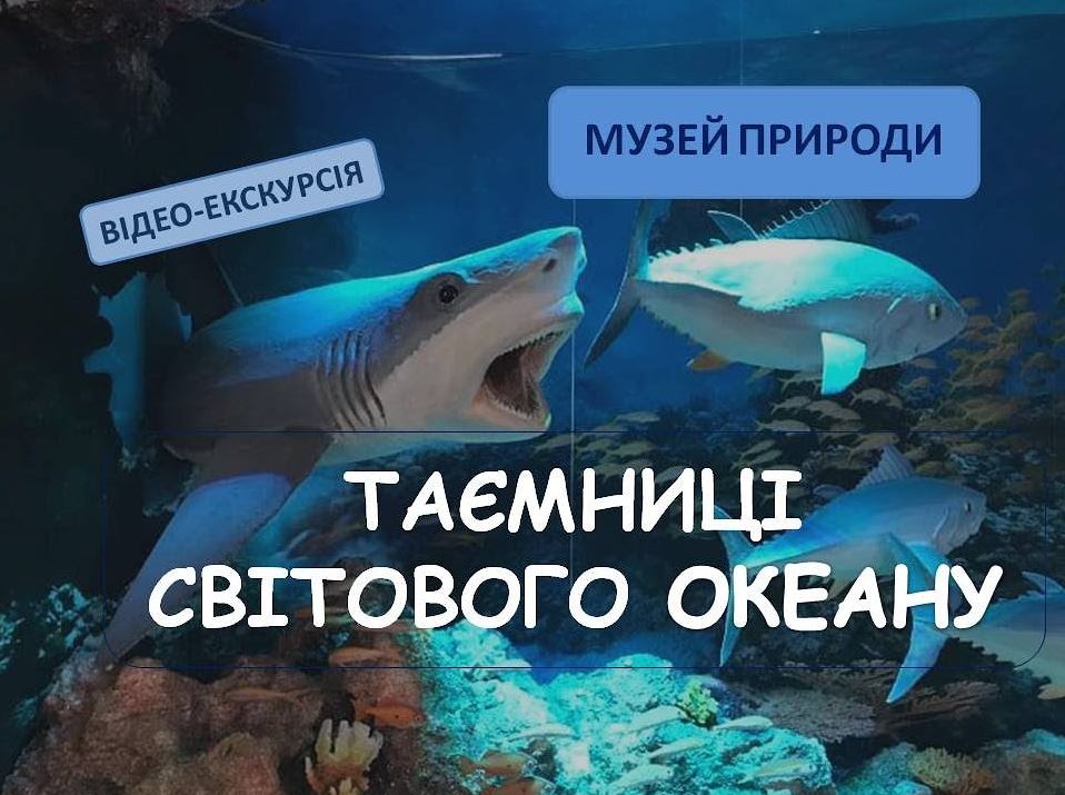 Не виходячи з дому: Херсонський краєзнавчий музей проводить віртуальні екскурсії