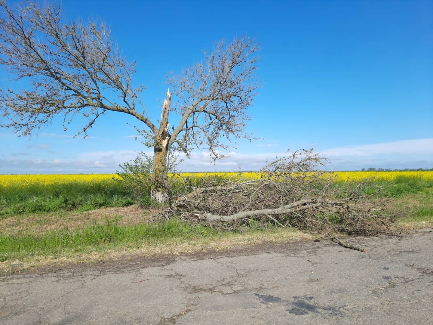 Аварійні бригади працюють над усуненням наслідків негоди на Херсонщині