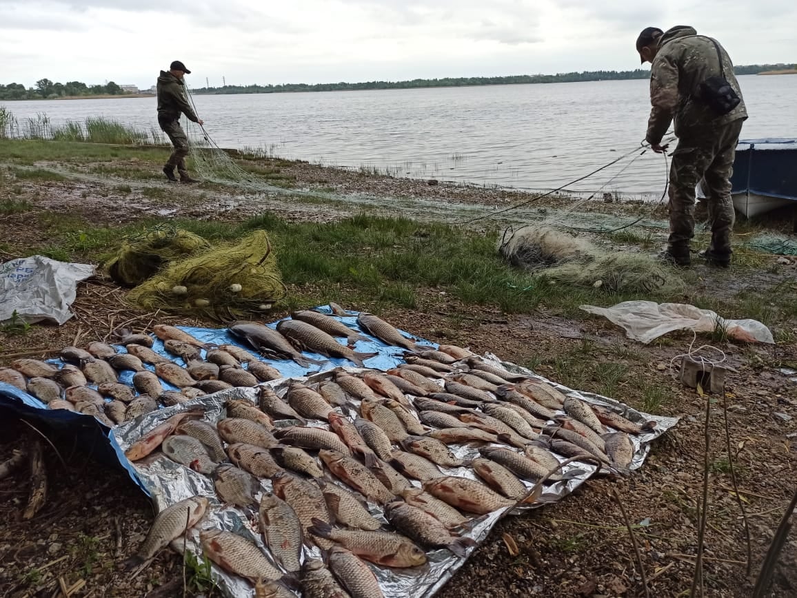 На Херсонщині, незважаючи на заборону, браконьєри далі ловлять сітками рибу