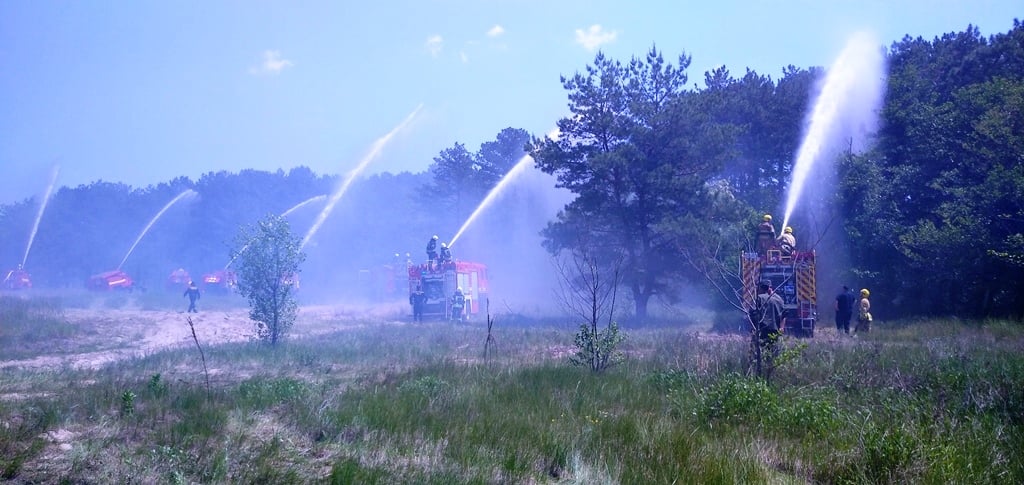 На Херсонщині відбулися спільні  навчання з ліквідації умовної лісової пожежі