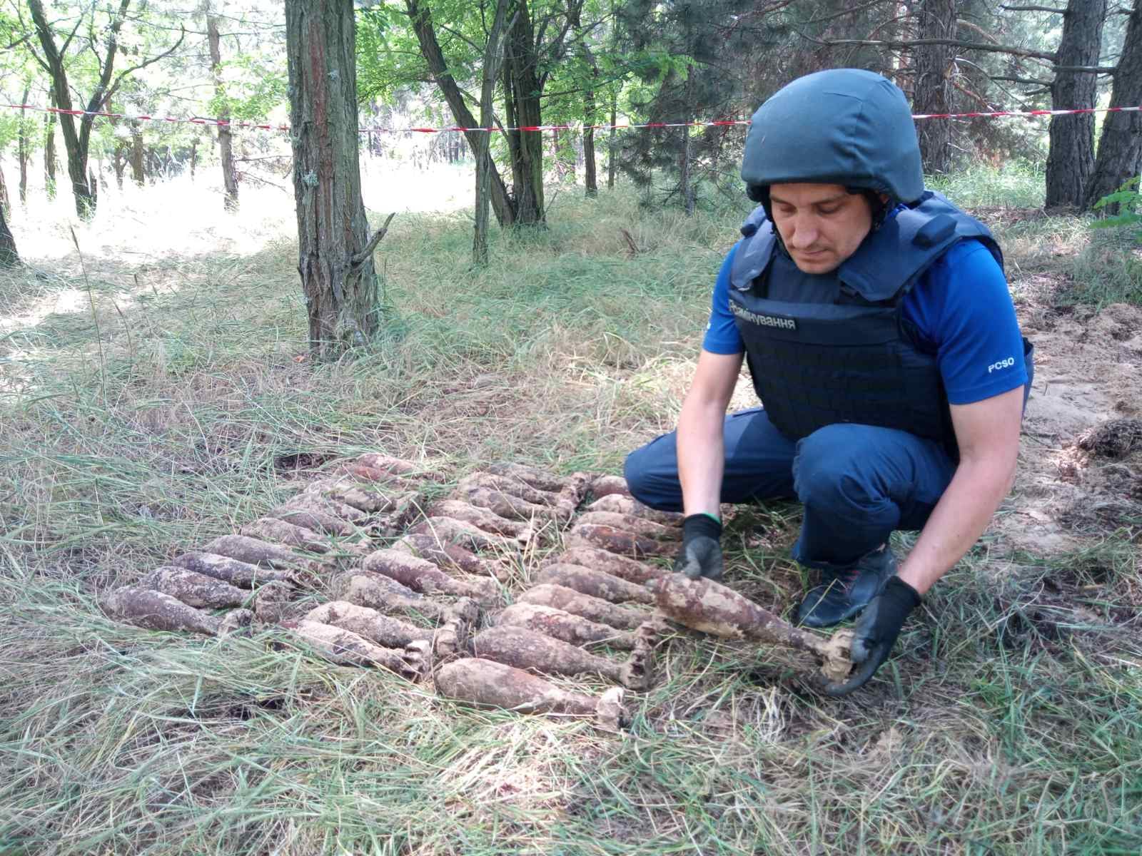 В Олешківському лісі грибник знайшов 10 німецьких мінометних мін, сапери - ще 21