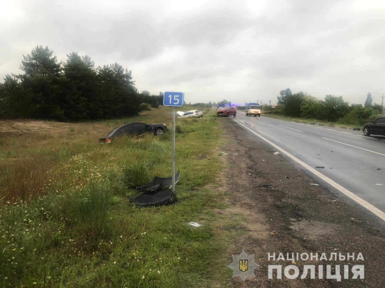 На Херсонщині поліція продовжує встановлювати свідків масштабної ДТП