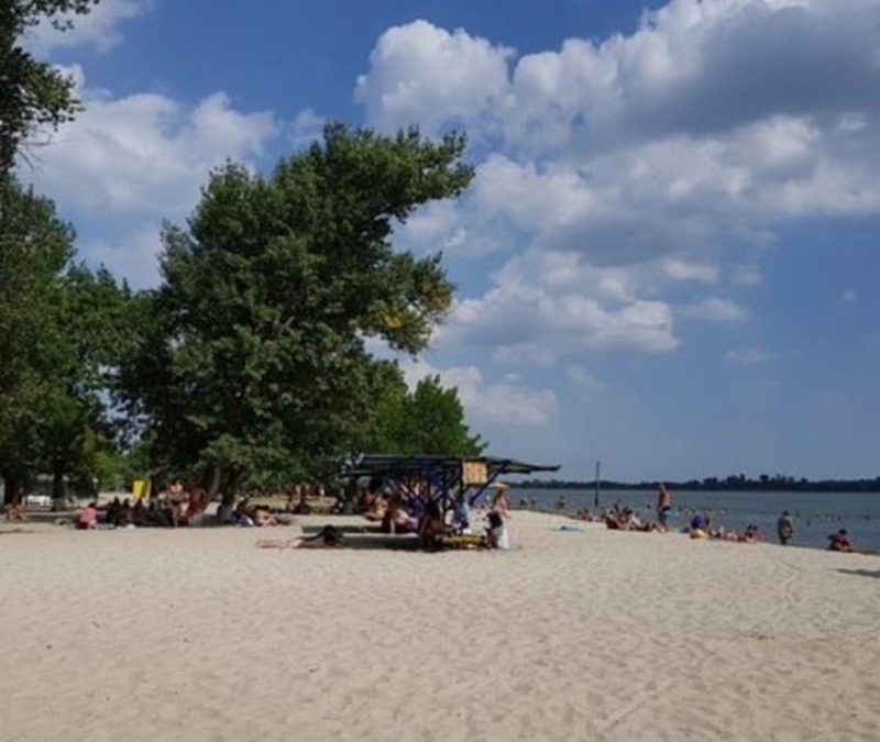 У Херсоні пляж в гідропарку на 2 метри від берега чистять від водоростей