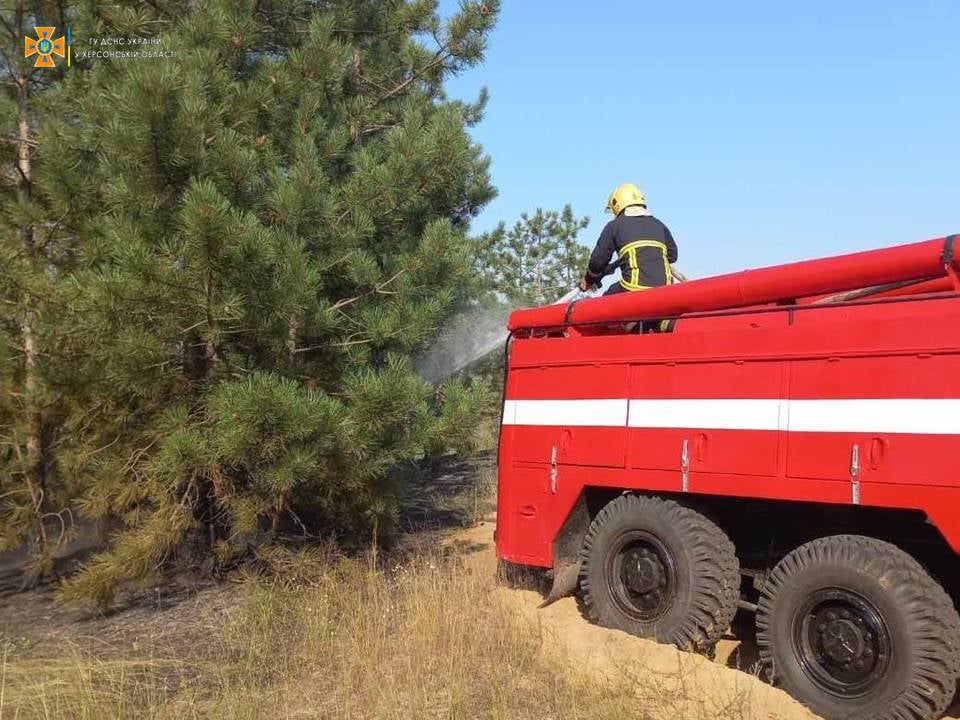 На території  Голопристанського лісомисливського господарства ліквідовано лісову низову пожежу