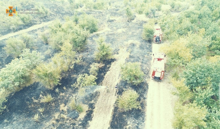 У Херсонському районі ліквідовано низову пожежу у листяному лісі