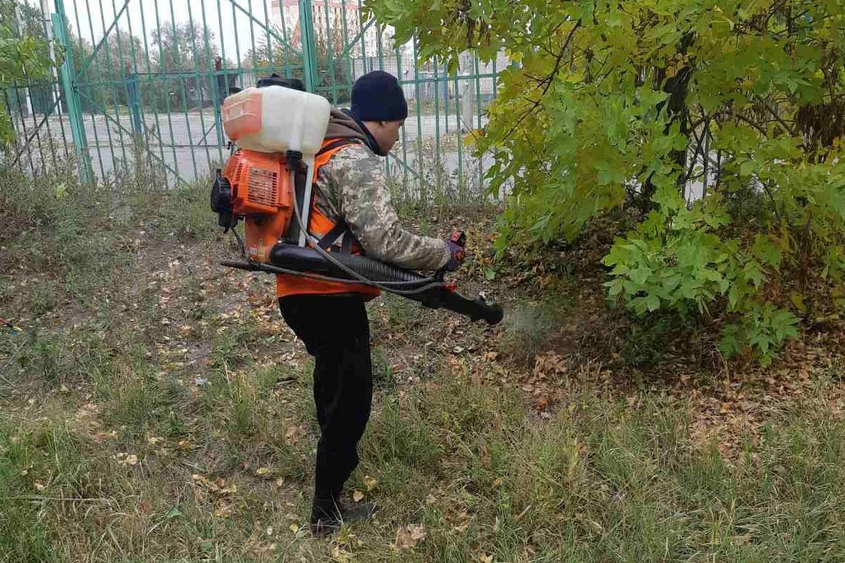 У Херсоні закупили отруту для боротьби з амброзією