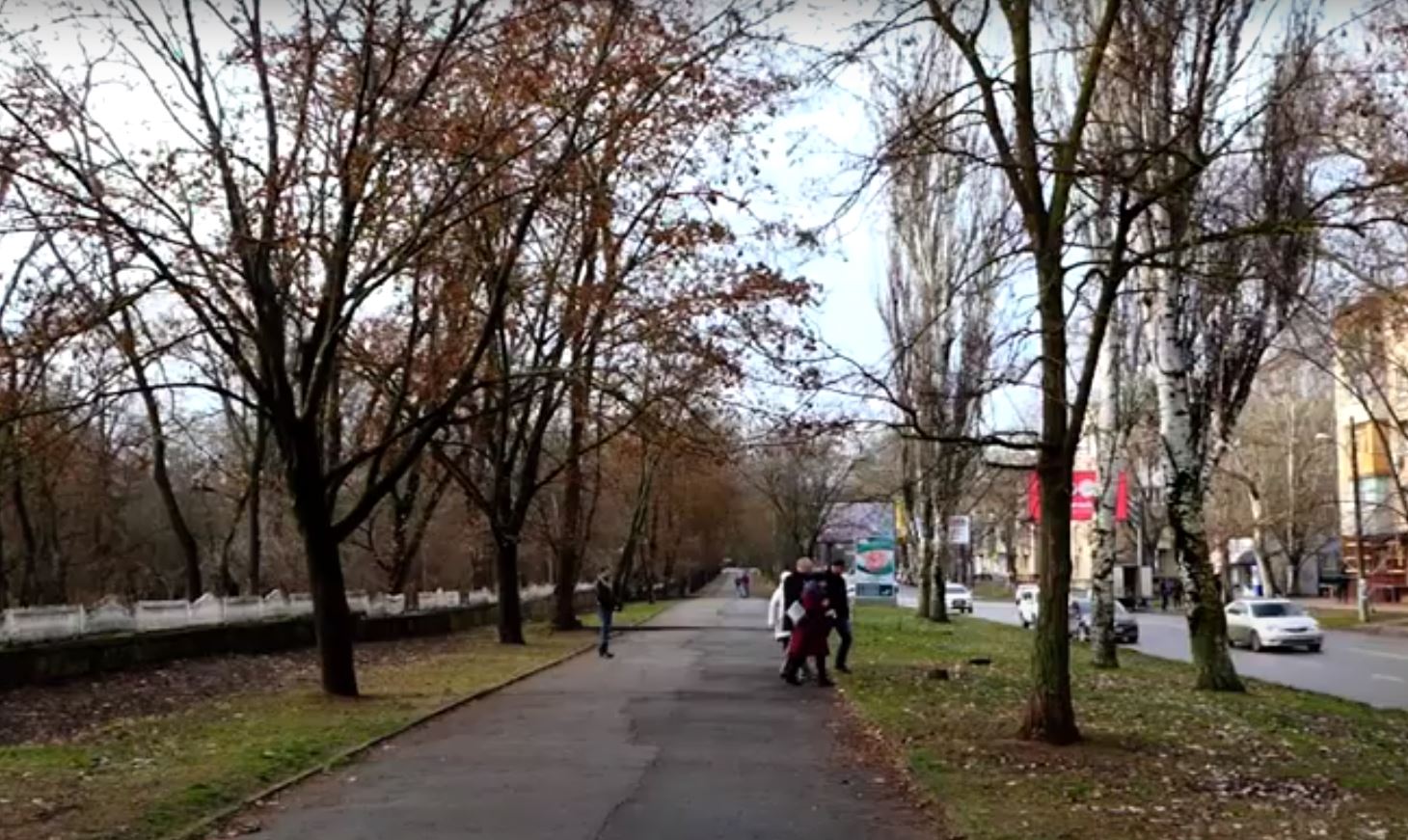 Понад 3 тисячі аварійних дерев в Херсоні необхідно видалити, - ВІДЕО