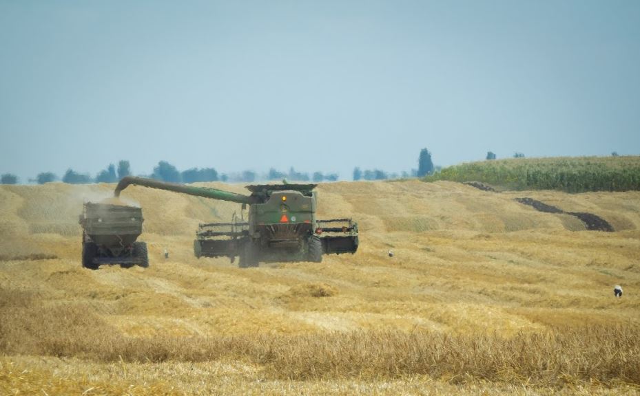 За викрадення 2 вантажівок ячменю херсонець постане перед судом