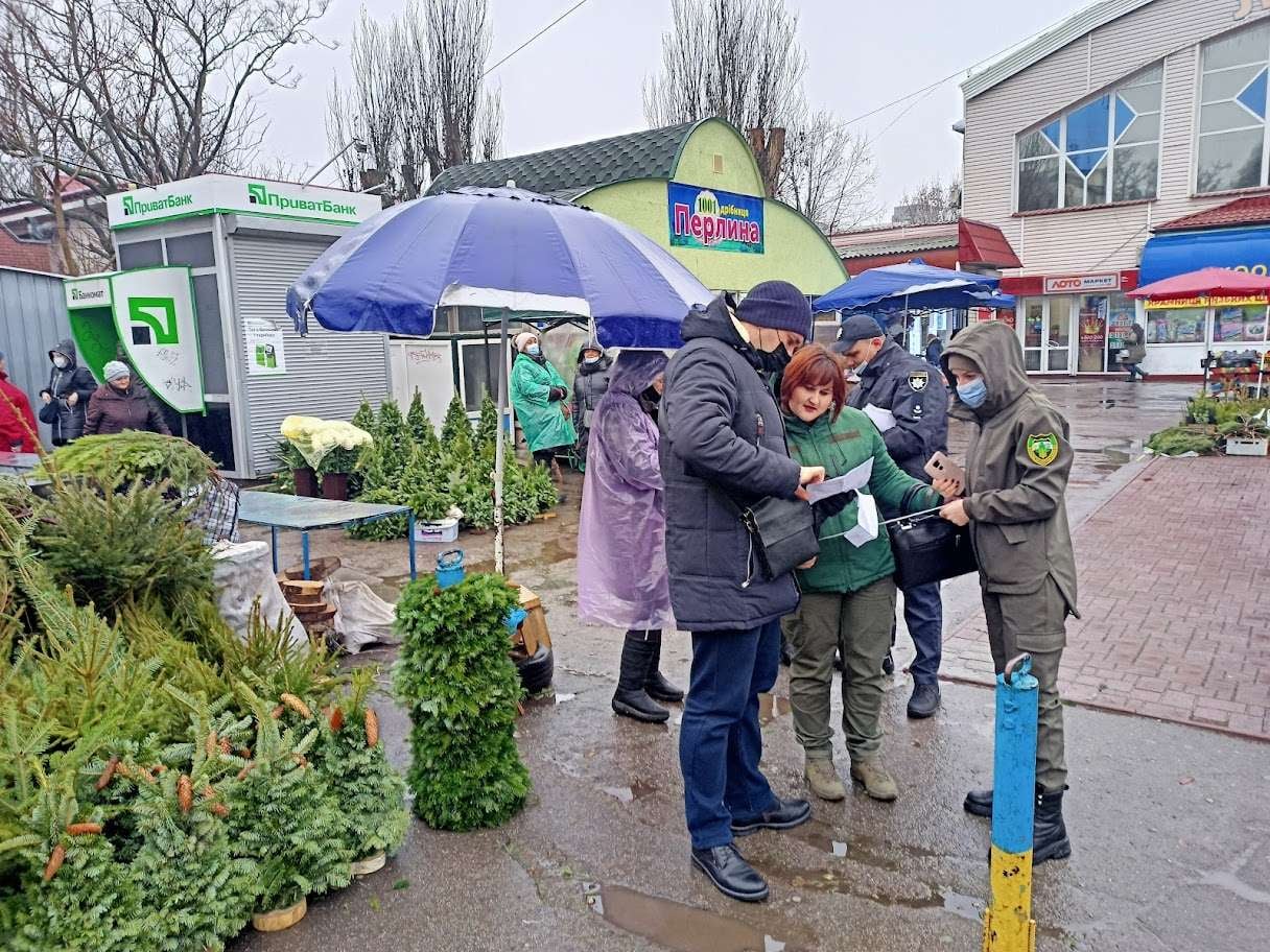 На Херсонщині поліцейські розпочали перевірки законності продажу хвойних дерев