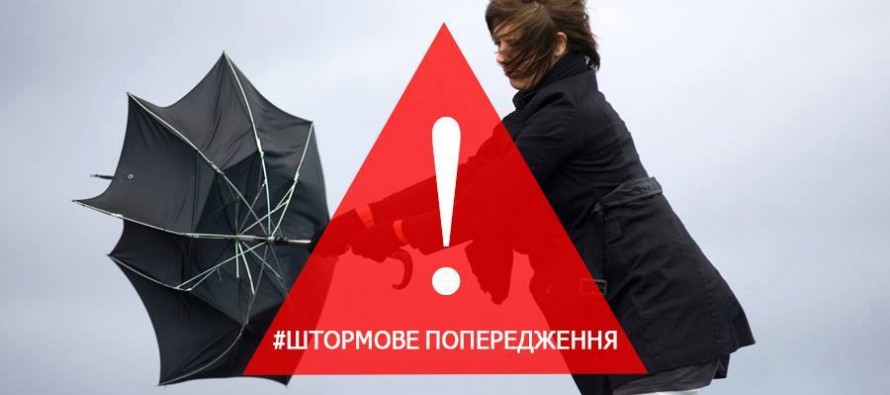 Сильний вітер та 14 градусів морозу: на Херсонщині оголосили перший рівень небезпеки