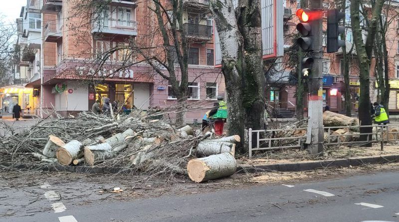 В Херсоне магазины вытеснили зелёные насаждения