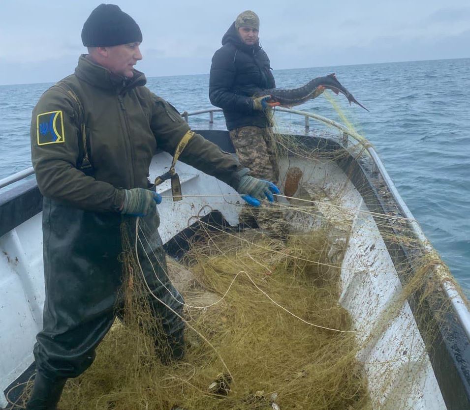 Біля острова Джарилгач патруль врятував від браконьєрів червонокнижних білугу та осетра