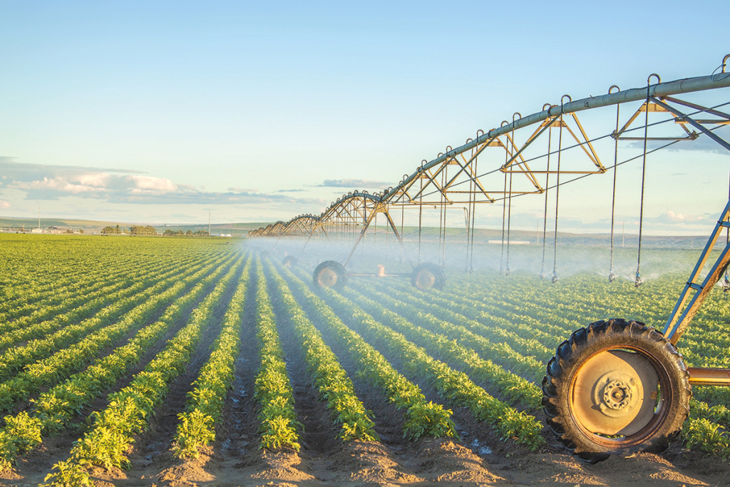 Через тарифи на воду ціни на продукти злетять на 30% - аграрії просять Уряд врегулювати ситуацію