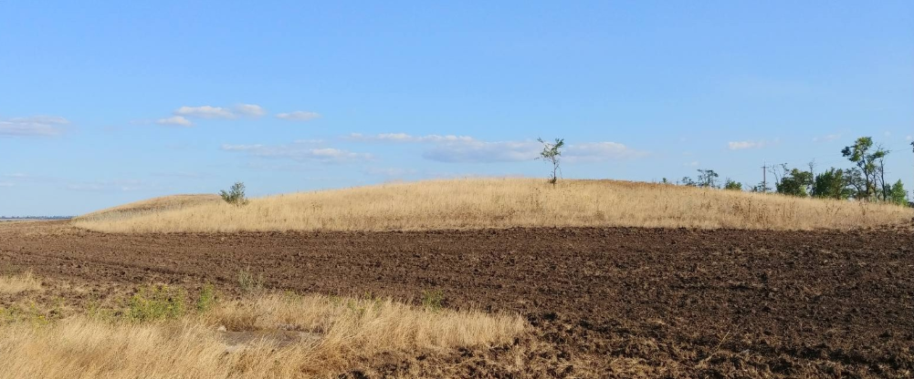 Державі можуть повернути земельні угіддя площею понад 82 гектари