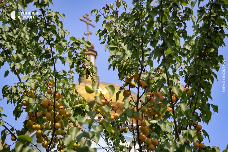 У Херсоні зараз проживає більше 80 тисяч людей