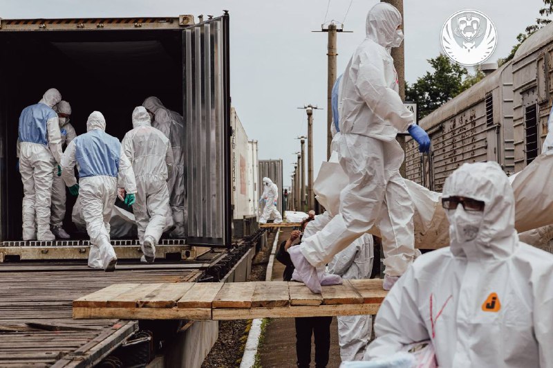 В рамках Стамбульських домовленостей в Україну повернули більше 6000 тіл загиблих