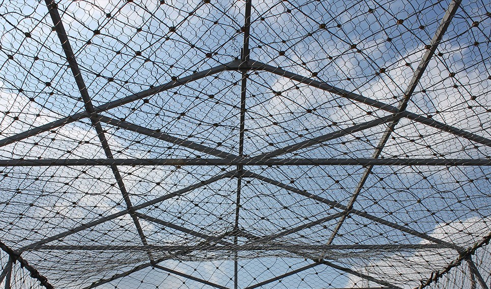 Антидронові сітки: у Херсоні визначають пріоритетні об'єкти для їх використання