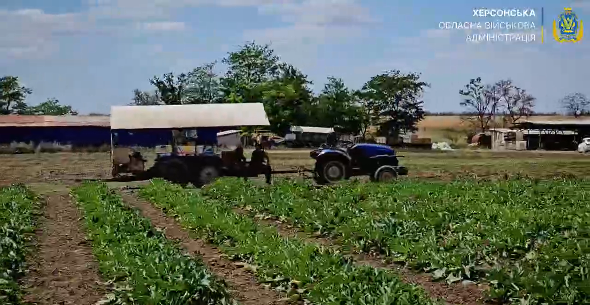 На Херсонщині аграрії розпочали збирати овочі