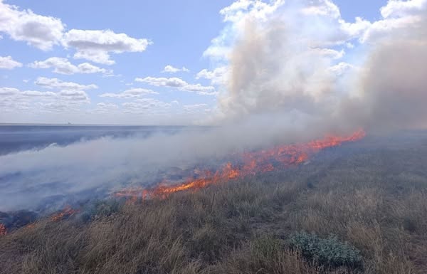 На території заповідника 