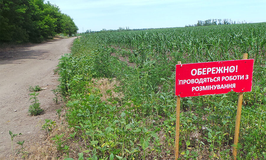 На Херсонщині розміновано 450 тисяч гектарів сільгоспугідь