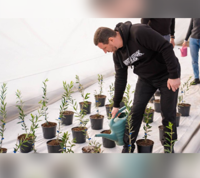 На Херсонщині висадили перші саджанці оливкових дерев