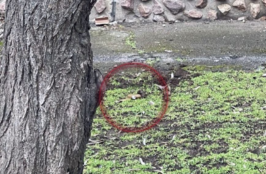 У житловому кварталі Херсона вибухотехніки виявили і знищили протипіхотні міни