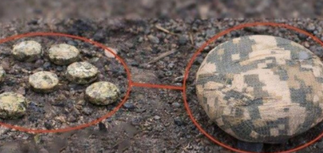 У передмісті Херсона виявили протипіхотні міни