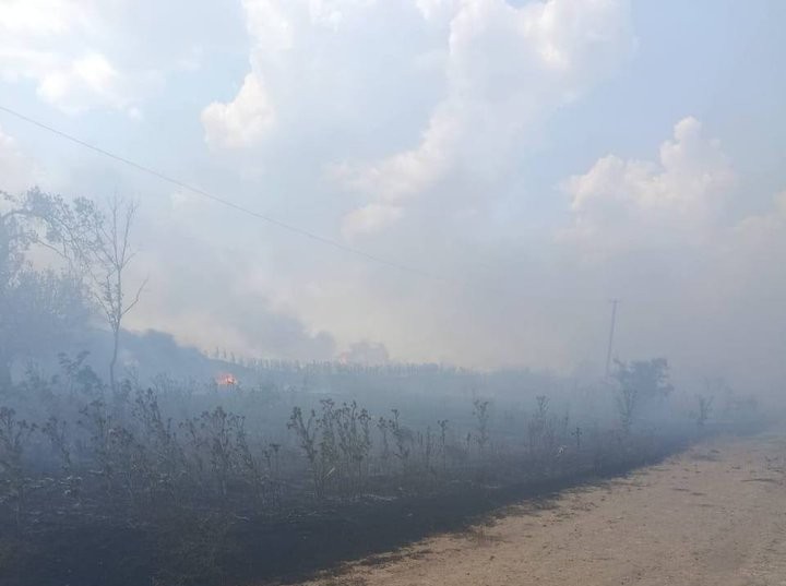 Держава розробляє механізм виплат аграріям, які втратили посіви через бойові дії